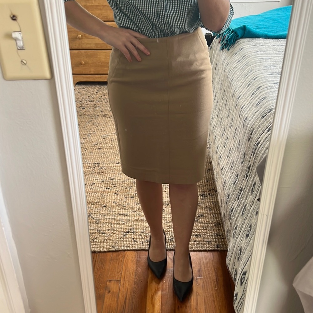 LOFT Dress skirt